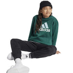 Adidas Παιδικό Σετ Φόρμας Πράσινο Essentials Big Logo IX9519