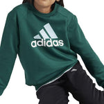 Adidas Παιδικό Σετ Φόρμας Πράσινο Essentials Big Logo IX9519