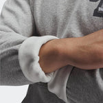 Ανδρικό Φούτερ Under Armour Fleece Graphic Γκρι 6007591-011